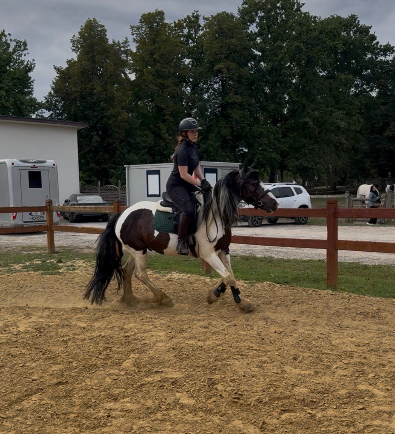 Bijrijd pony/paard gezocht