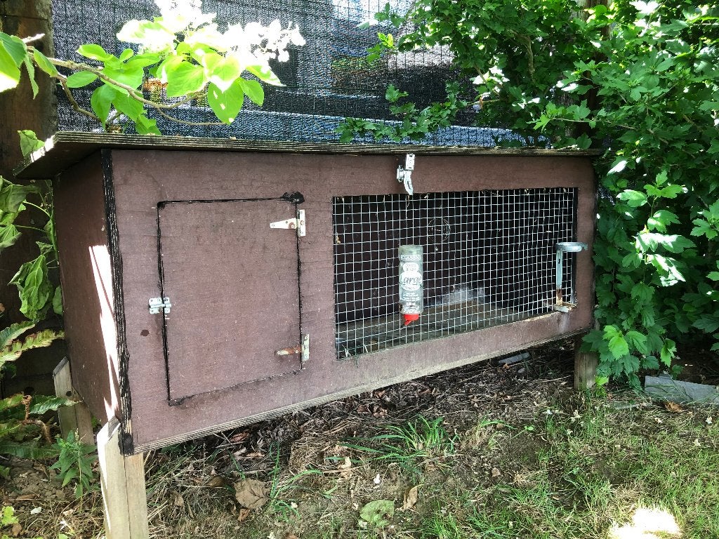 Konijnen of kleine knaagdierenhok, Dieren en Toebehoren, Ophalen, Gebruikt, Hok, Cavia