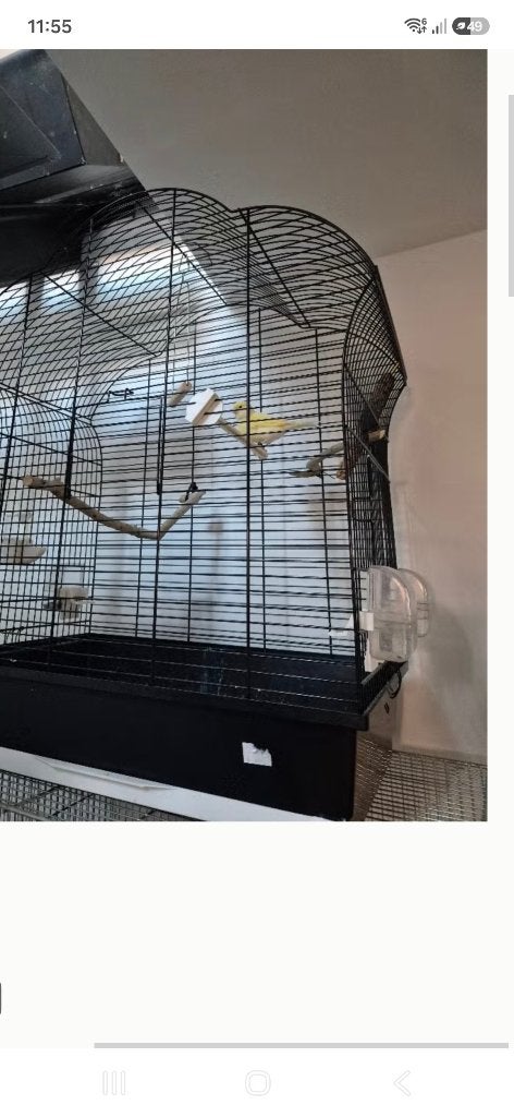 Vogelkooi, Ophalen, Gebruikt, Overige materialen, Vogelkooi