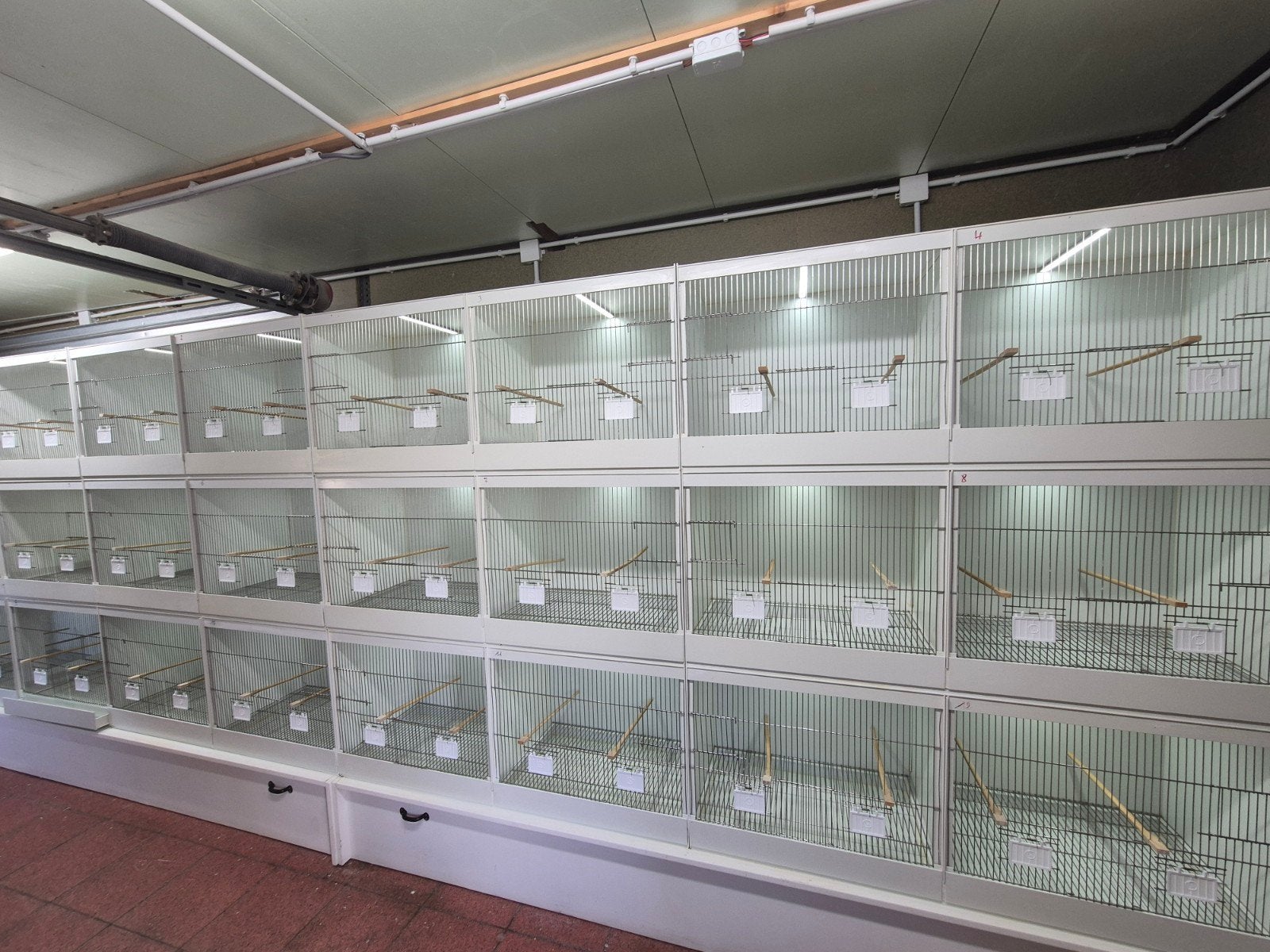 pvc kweekkooien Merk Prima, Animaux & Accessoires, Oiseaux | Cages & Volières, Enlèvement, Utilisé, Synthétique, Cage d'élevage