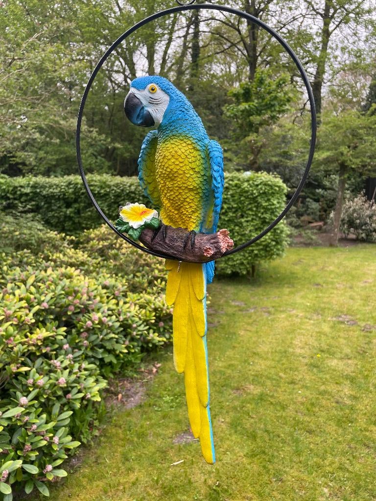 Beeld papegaai Blauw tuin, vijver, balkon 50cm, Ophalen of Verzenden, Nieuw, Kunststof, Dierenbeeld