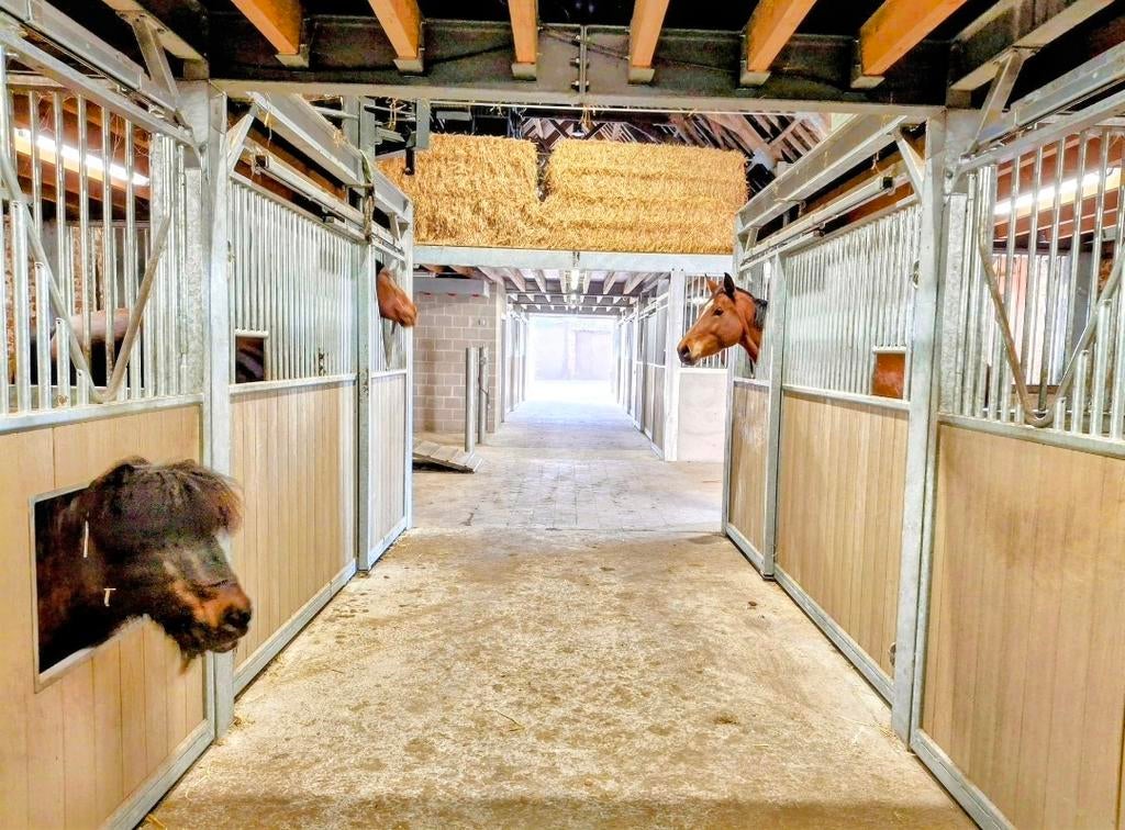 Verhuur paardenstallen, Animaux & Accessoires, Box & Pâturages, Pâturage