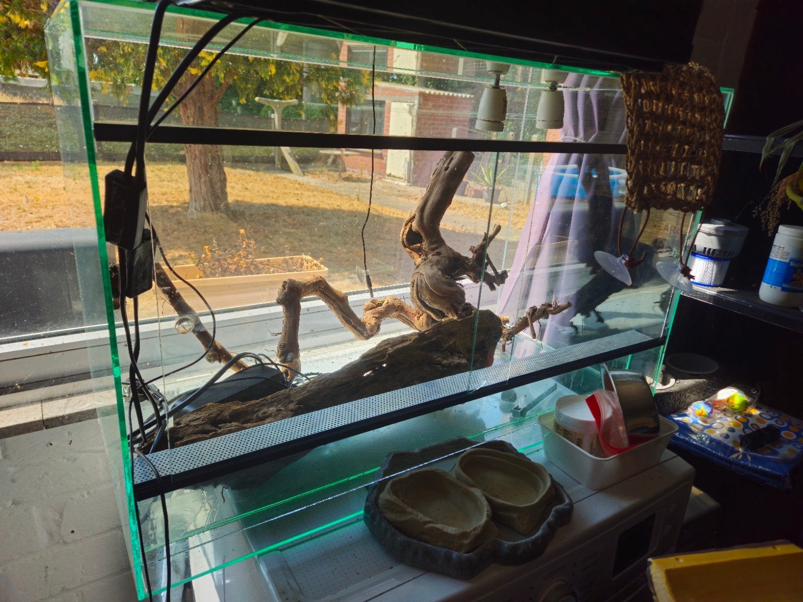 Terrarium + ALLE TOEBEHOREN, Animaux & Accessoires, Reptiles & Amphibiens | Accessoires, Enlèvement