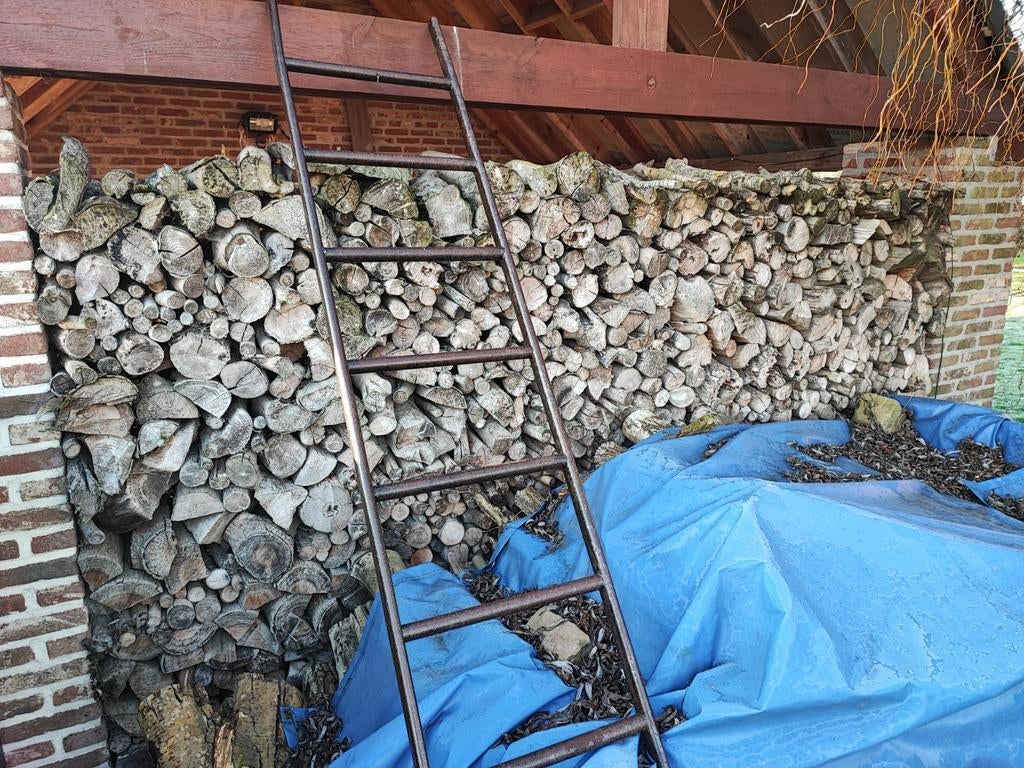 Bois de chauffage extra sec, Tuin en Terras, Brandhout