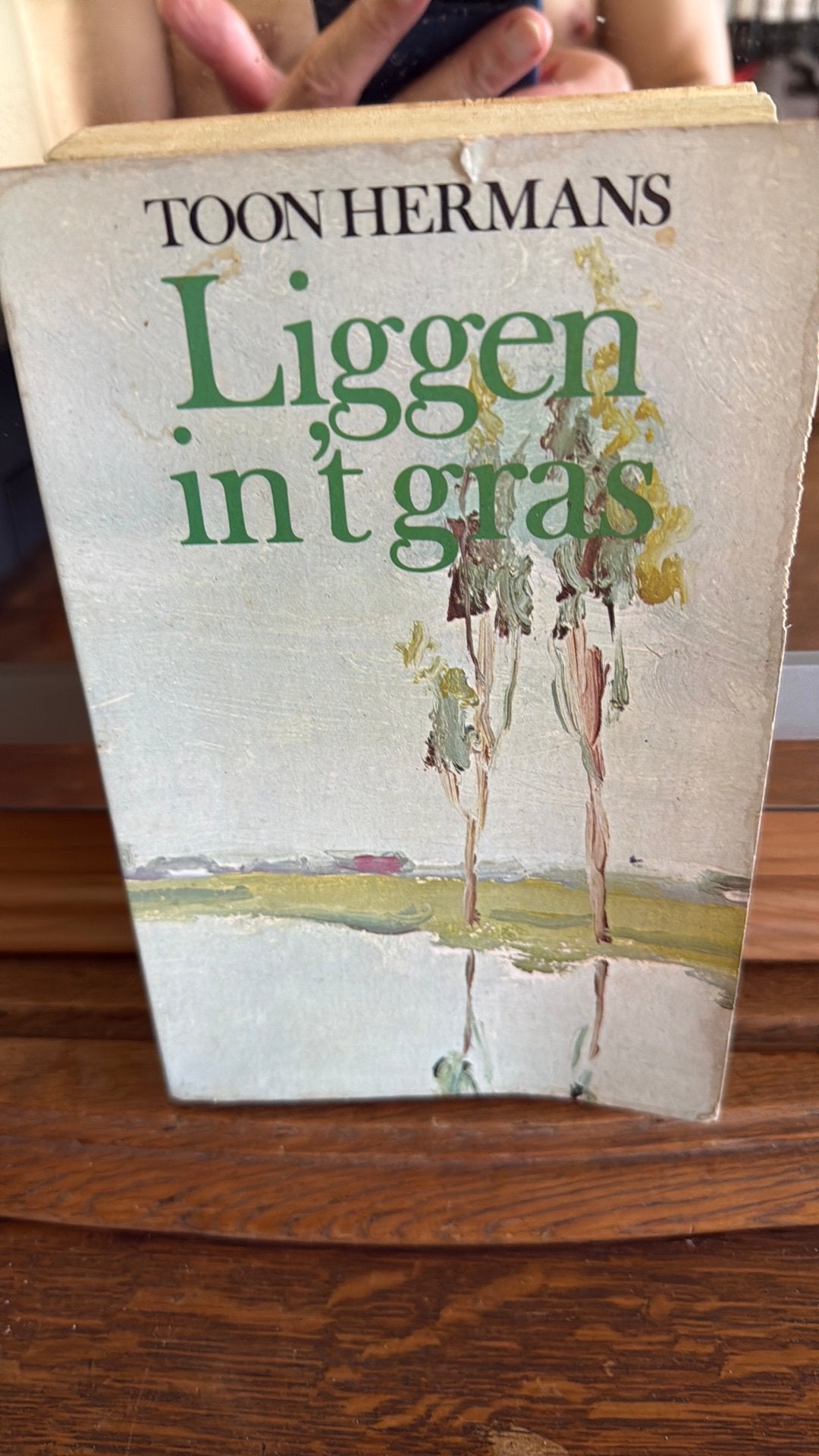 Liggen In ‘t Gras, Ophalen of Verzenden, Zo goed als nieuw, Eén auteur