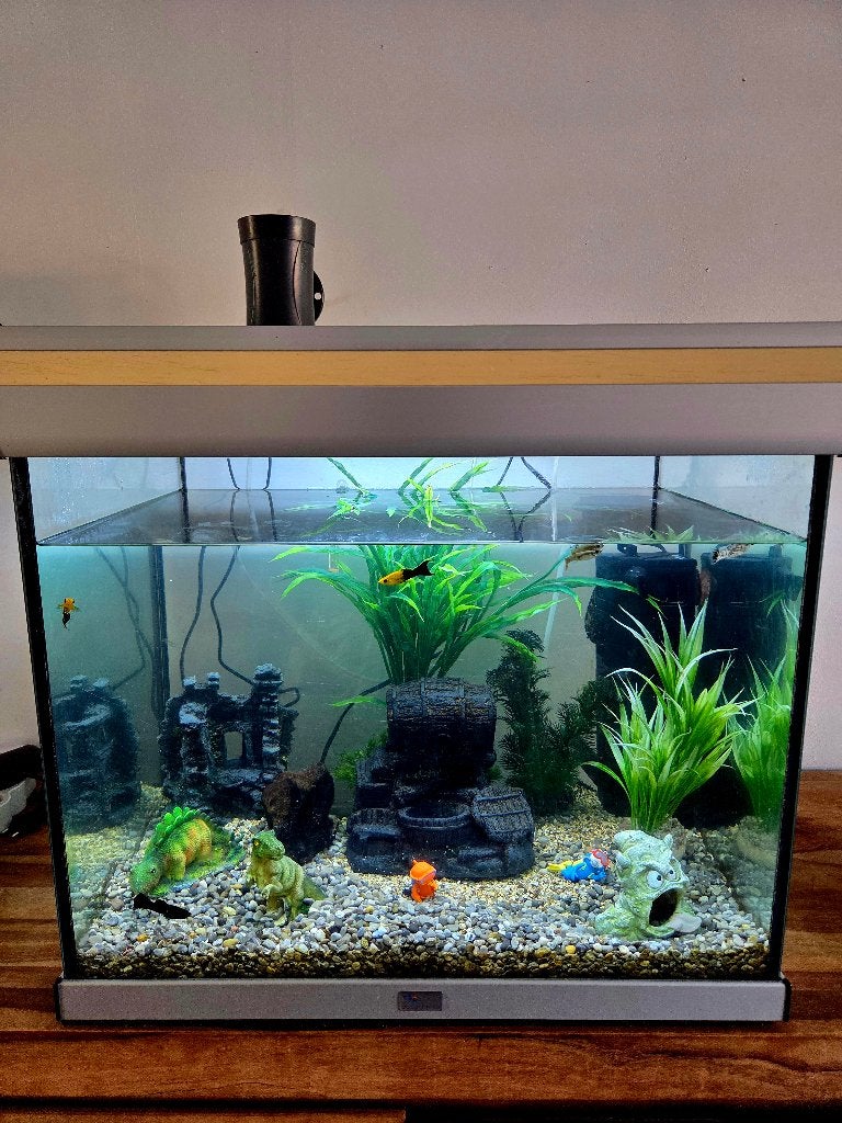 Aquarium eau chaude + Poissons, Enlèvement, Pompe