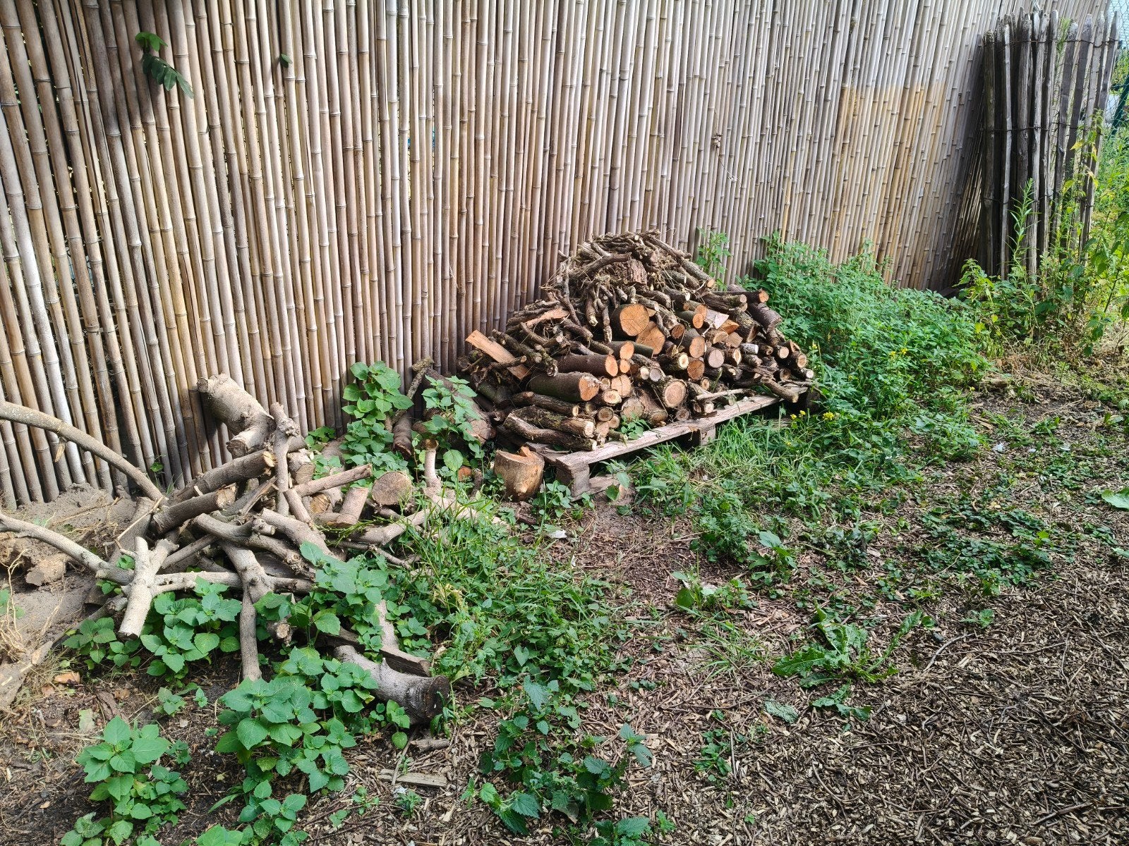 Gratis hout in alle formaten, Tuin en Terras, Brandhout, Ophalen