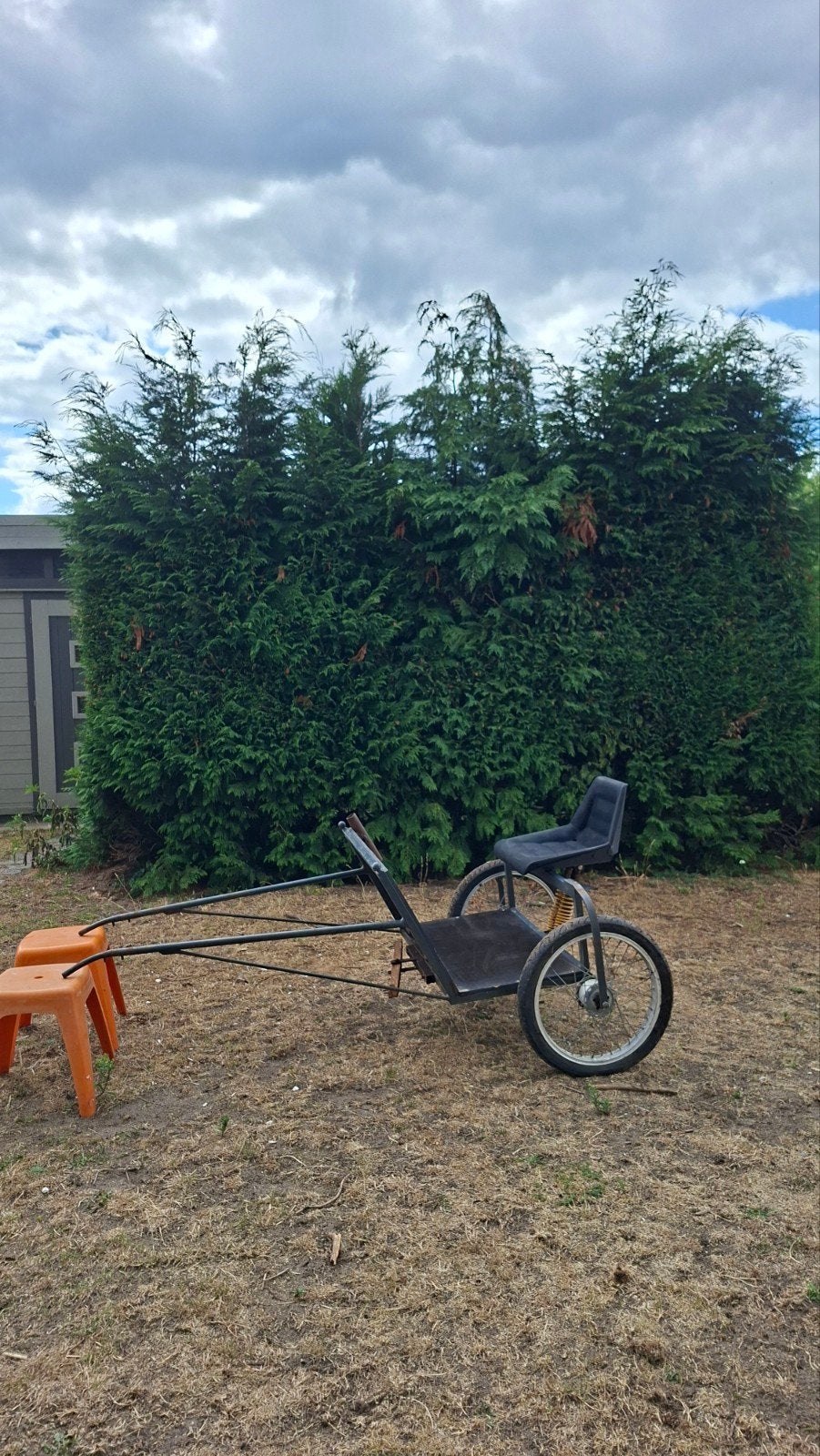 Menwagentje voor mini-Shetlander Te koop, Dieren en Toebehoren, Ophalen, Gebruikt, Overige disciplines