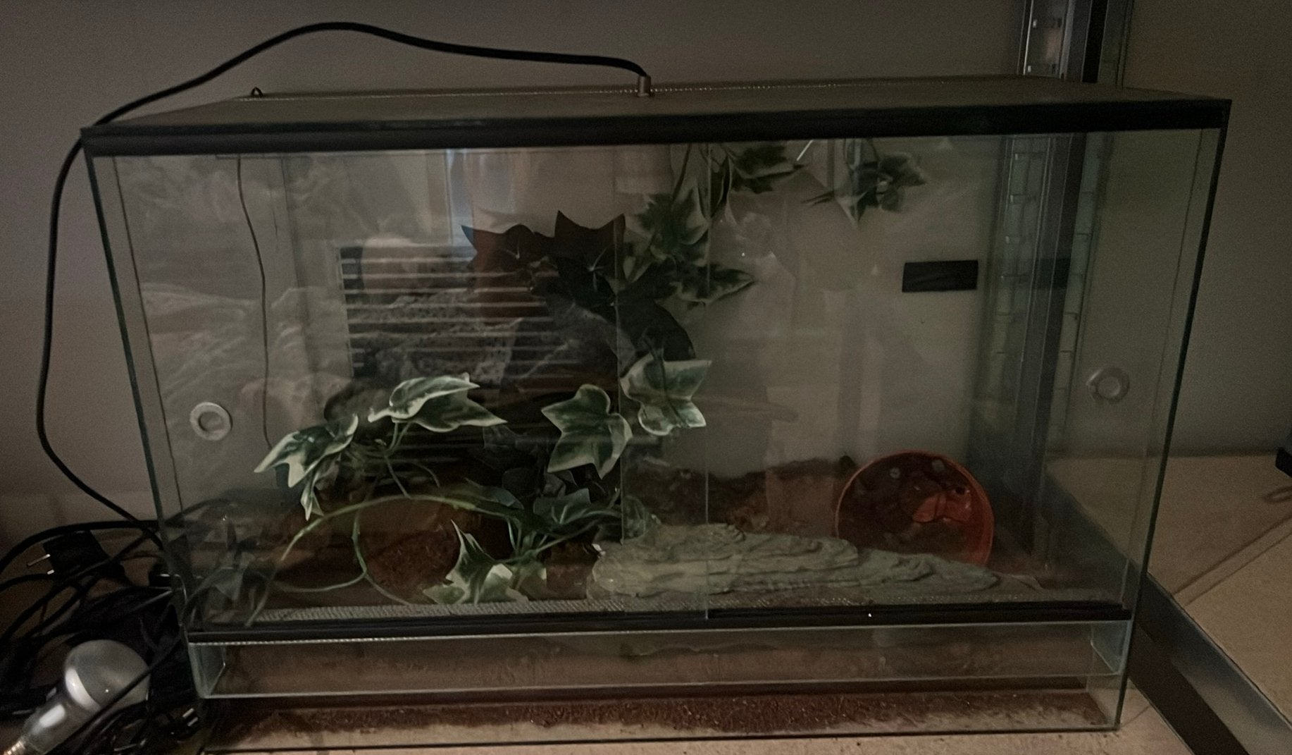 Terrarium met deco en warmtematje, Dieren en Toebehoren, Ophalen, Gebruikt