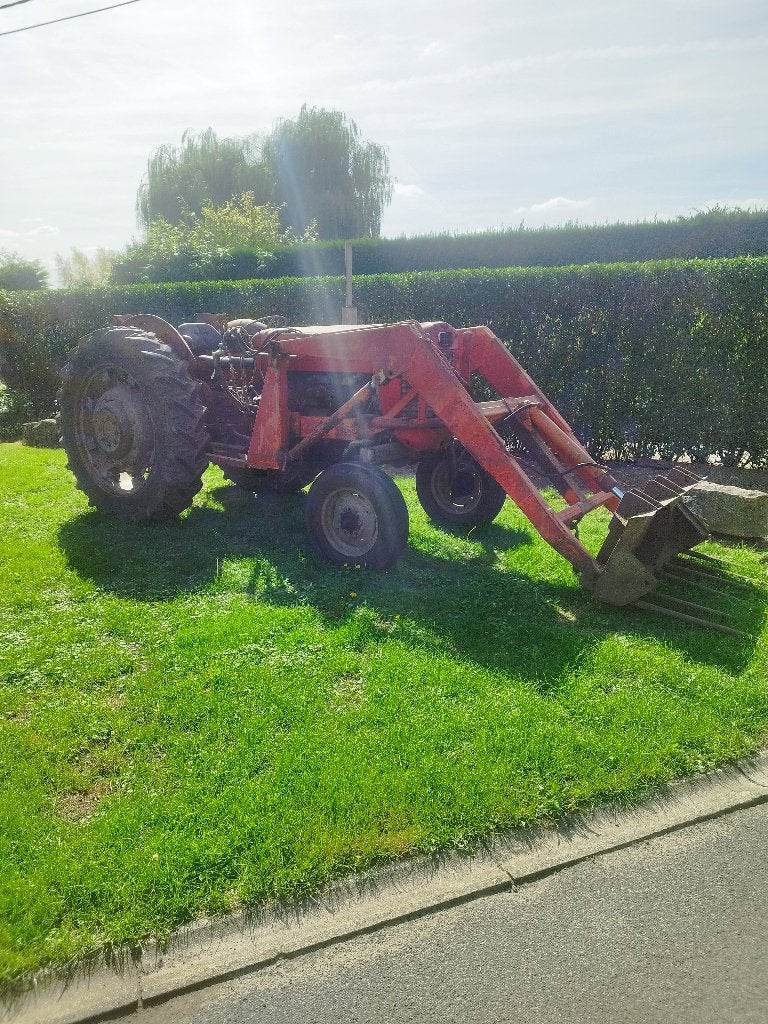 Massey Ferguson 65 Mark 1 hoge klaring, Zakelijke goederen, Ophalen, Oldtimer, Tot 80 Pk, Massey Ferguson