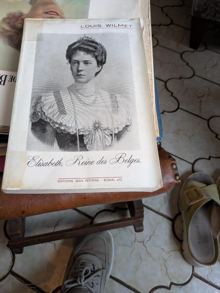 Elisabeth reine des Belges, Enlèvement ou Envoi, Utilisé