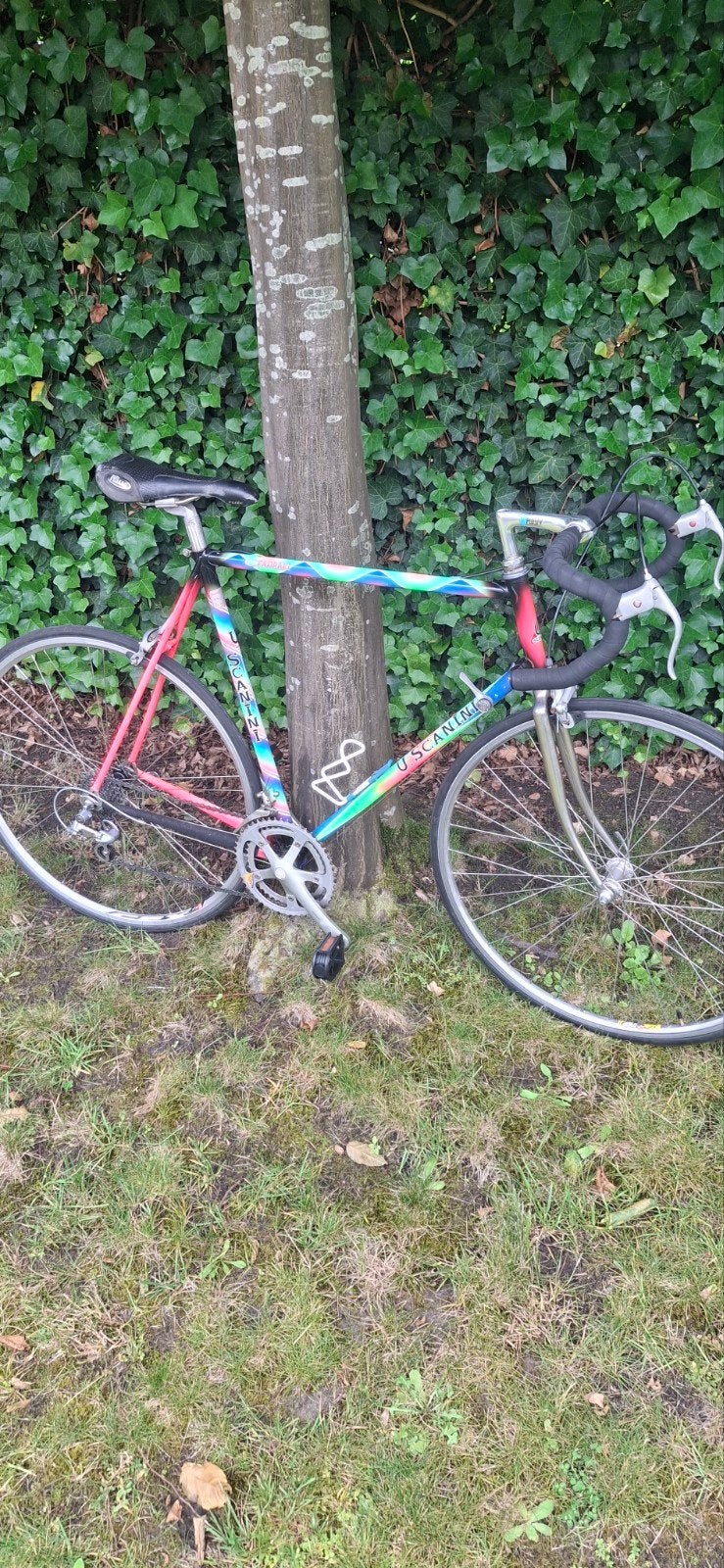 Scanni koersfiets, Fietsen en Brommers, Fietsen | Racefietsen, Ophalen