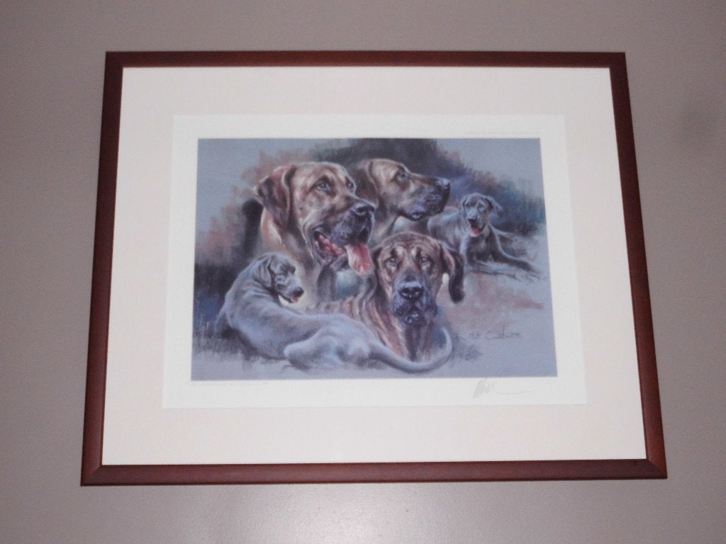 Lytho Duitse Doggen, Antiquités & Art, Numéroté, Enlèvement ou Envoi, Animaux et nature, Lithographie