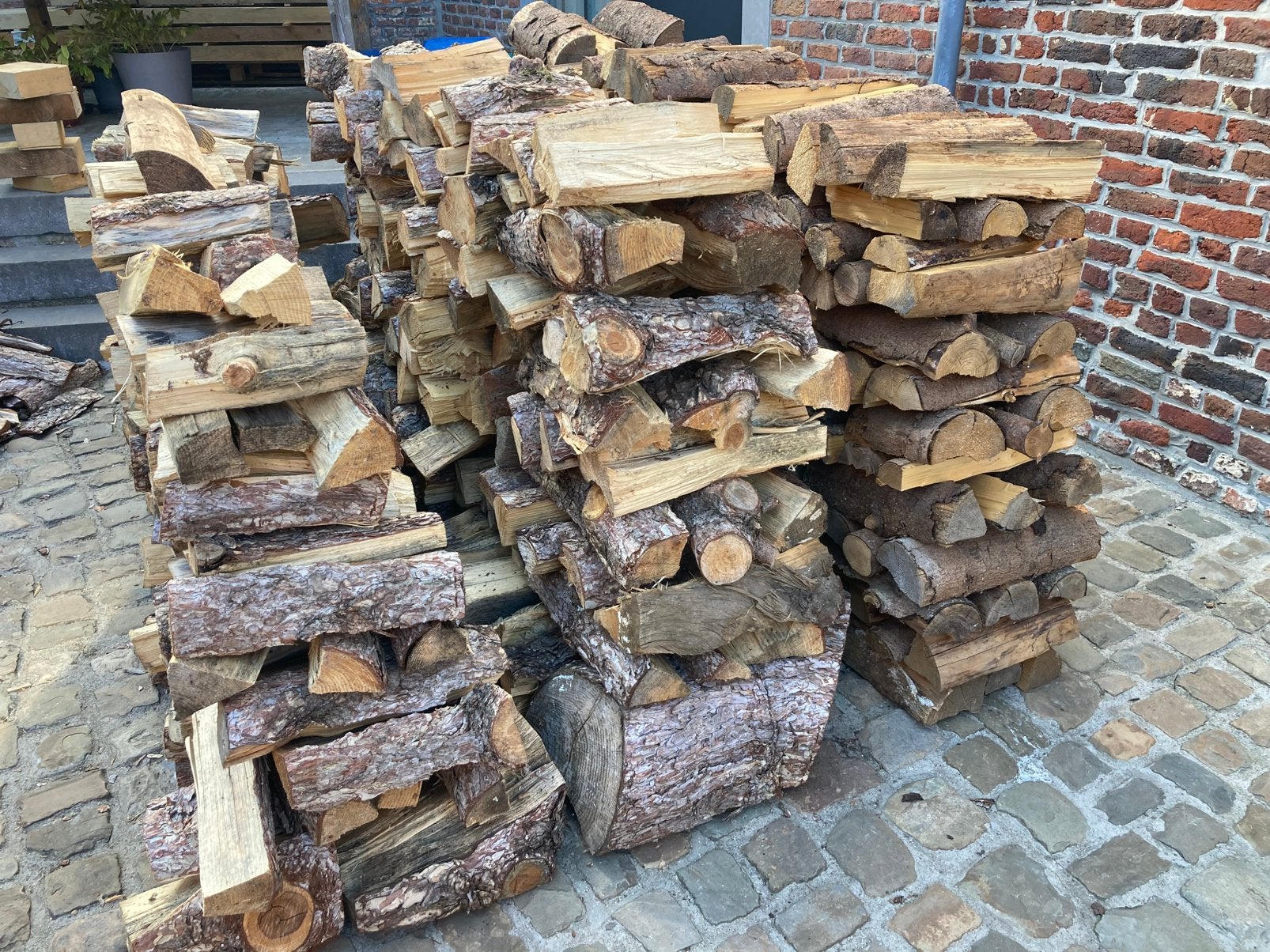 Sapin 120€ le lot, Enlèvement