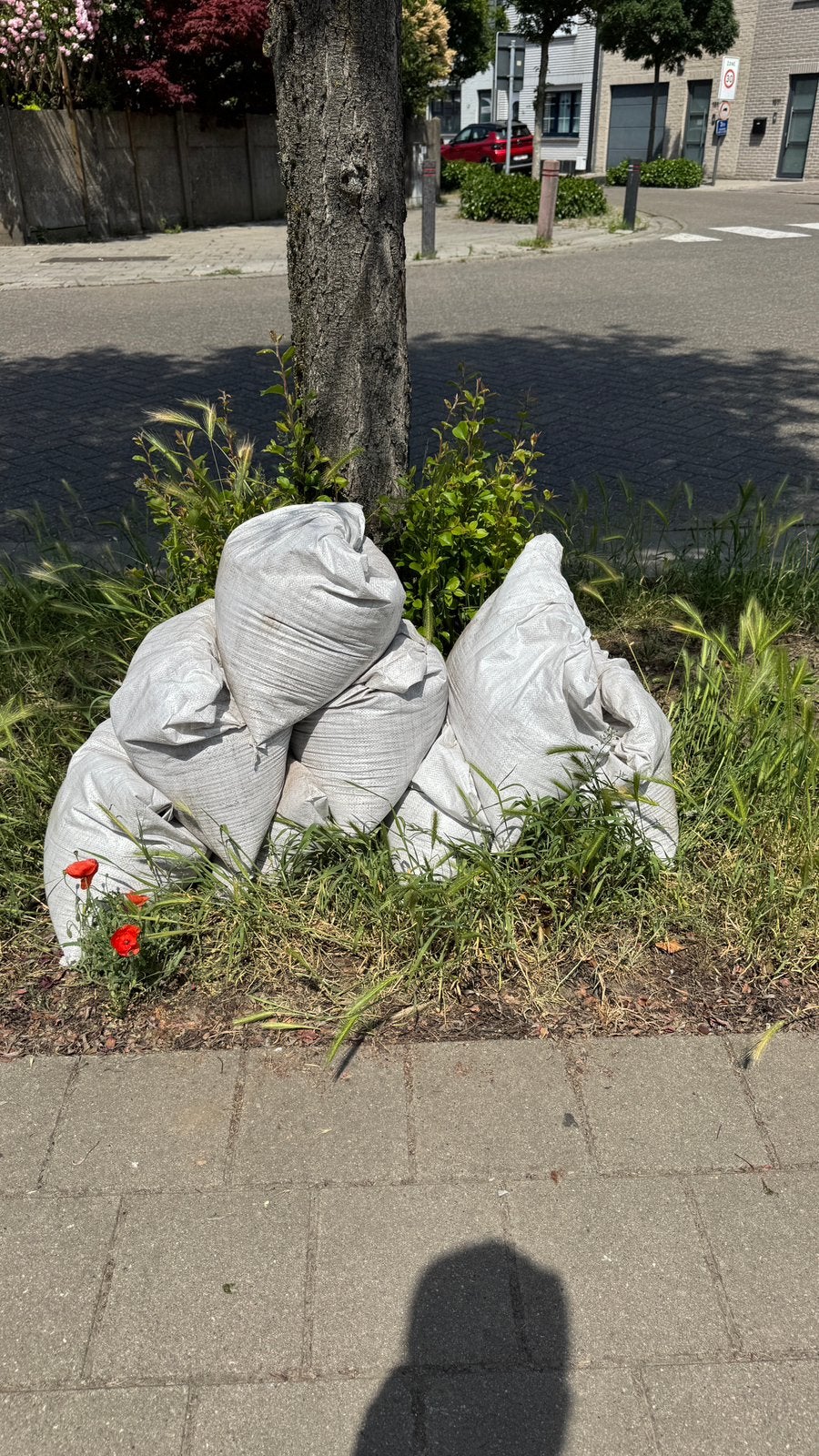 GRATIS 20 zakken gevuld met zwarte opvulgrond, Tuin en Terras, Zand, Ophalen, Zo goed als nieuw