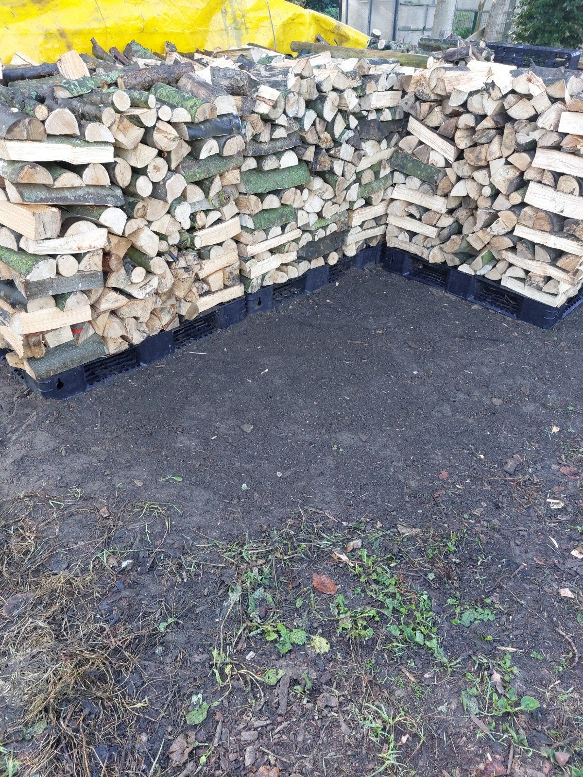 brandhout, HARD (vers) Eik,Esdoorn., Tuin en Terras, Minder dan 3 m³, Ophalen of Verzenden, Blokken