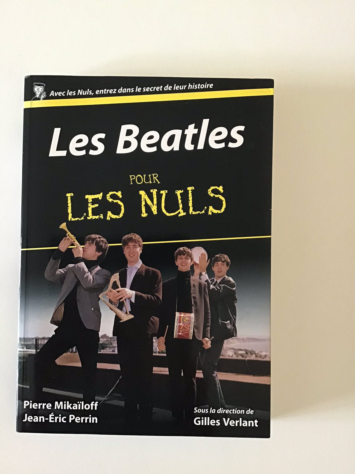 Les Beatles pour les nuls, Livres, Enlèvement ou Envoi, Utilisé