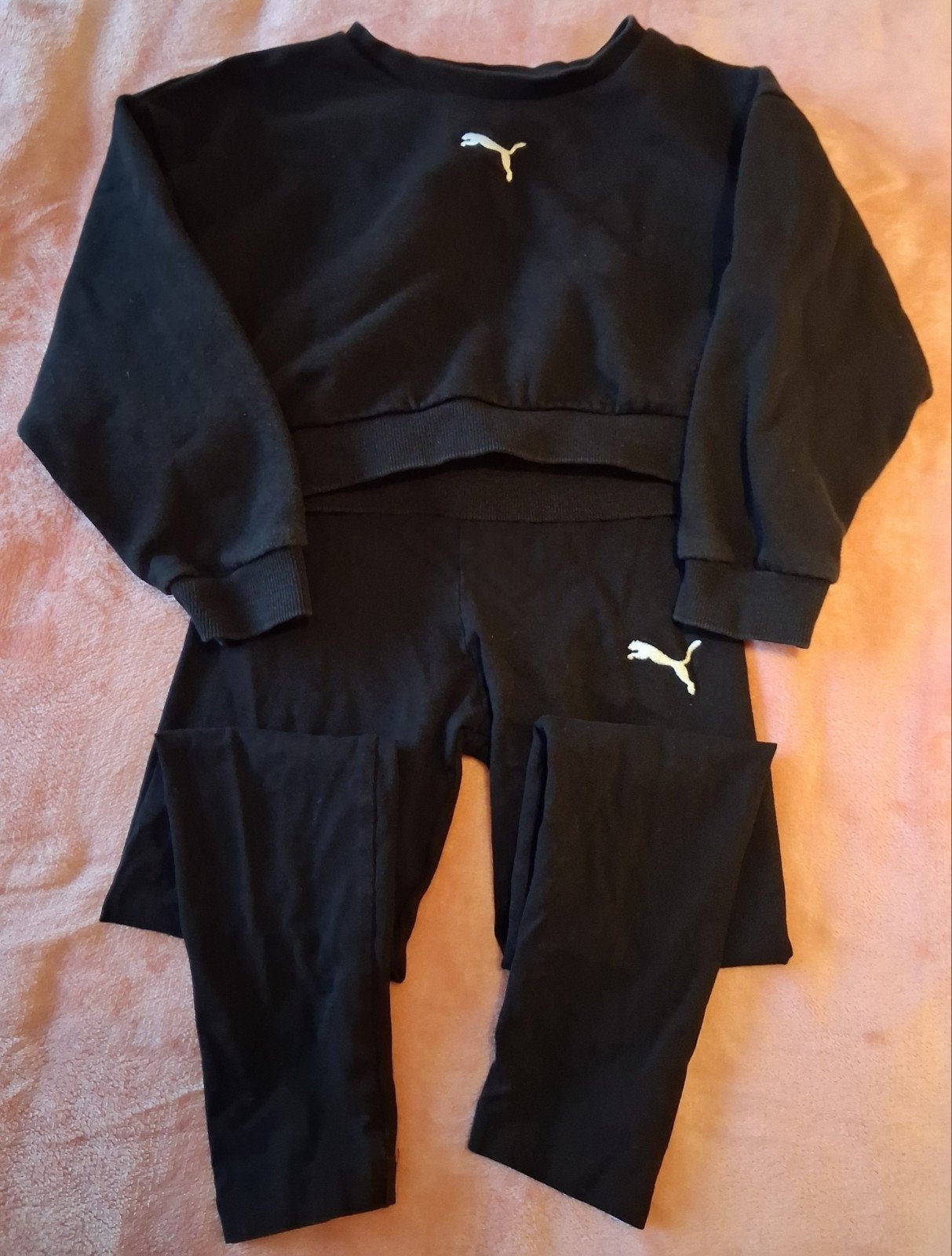 Ensemble PUMA, Enlèvement, Ensemble