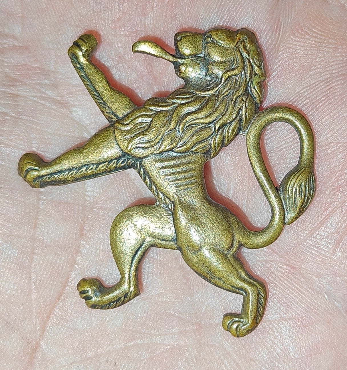 insignia Belgisch leger, Ophalen of Verzenden