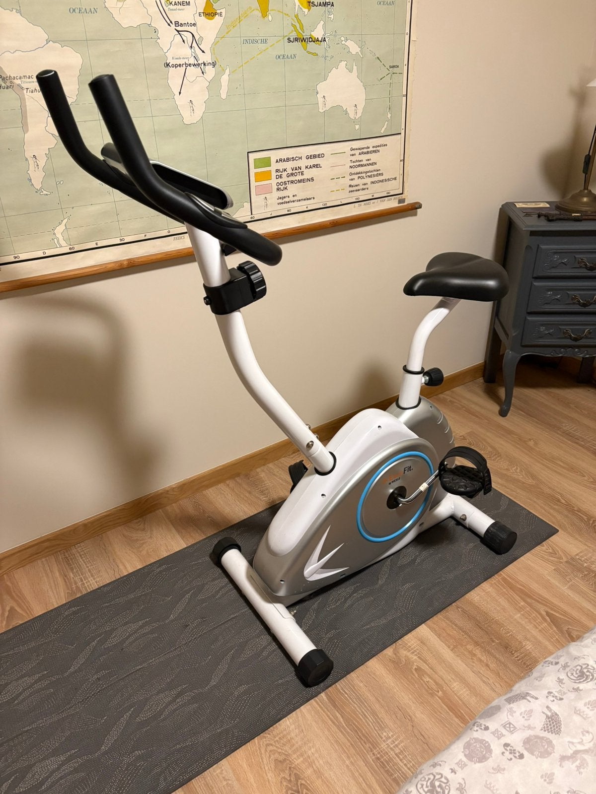 EasyFit by Weslo Hometrainer, Ophalen, Zo goed als nieuw, Hometrainer