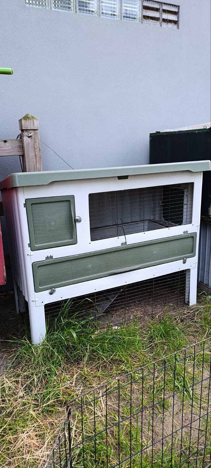 buitenhok voor konijn of cavia - konijnenhok, Animaux & Accessoires, Enlèvement, Cobaye