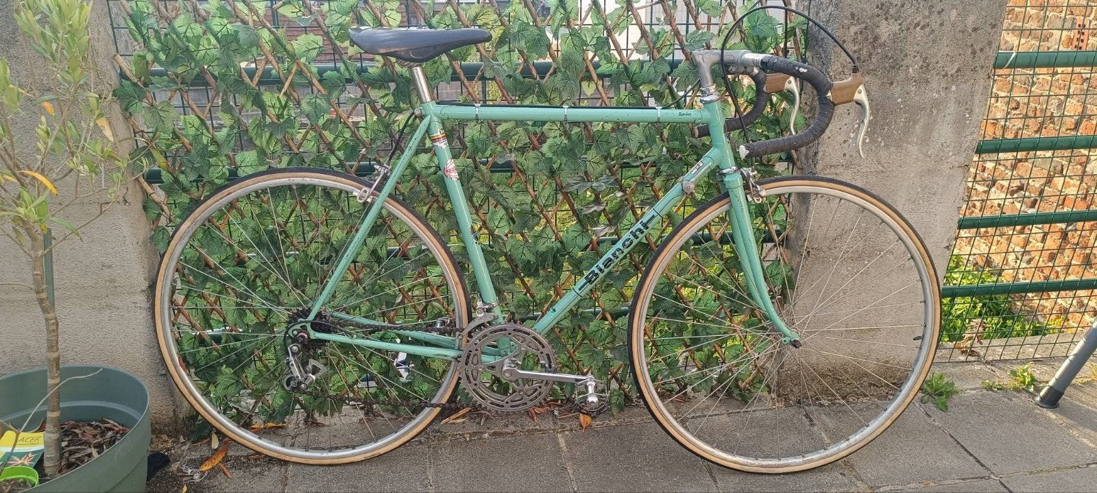 Bianchi Sprint vintage fiets
