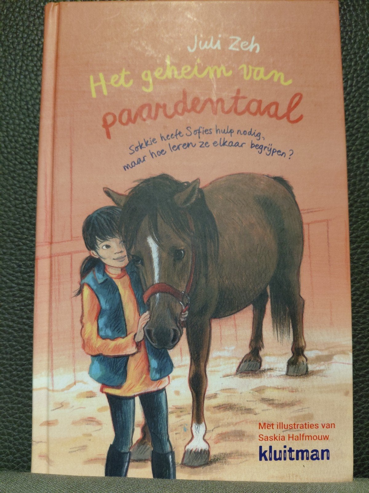 Juli Zeh - Het geheim van paardentaal, Boeken, Kinderboeken | Jeugd | 10 tot 12 jaar, Ophalen