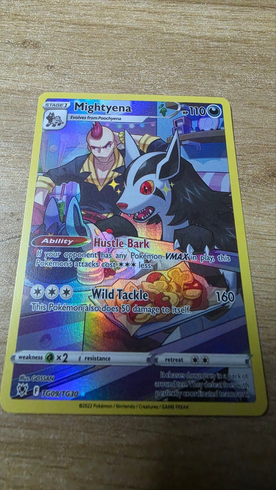 mightyena TG06/TG30, Hobby en Vrije tijd, Ophalen
