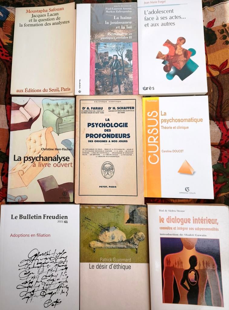 Verkoop 54 naslagwerken Psychiatrie en Psychoanalyse, Boeken, Ophalen of Verzenden