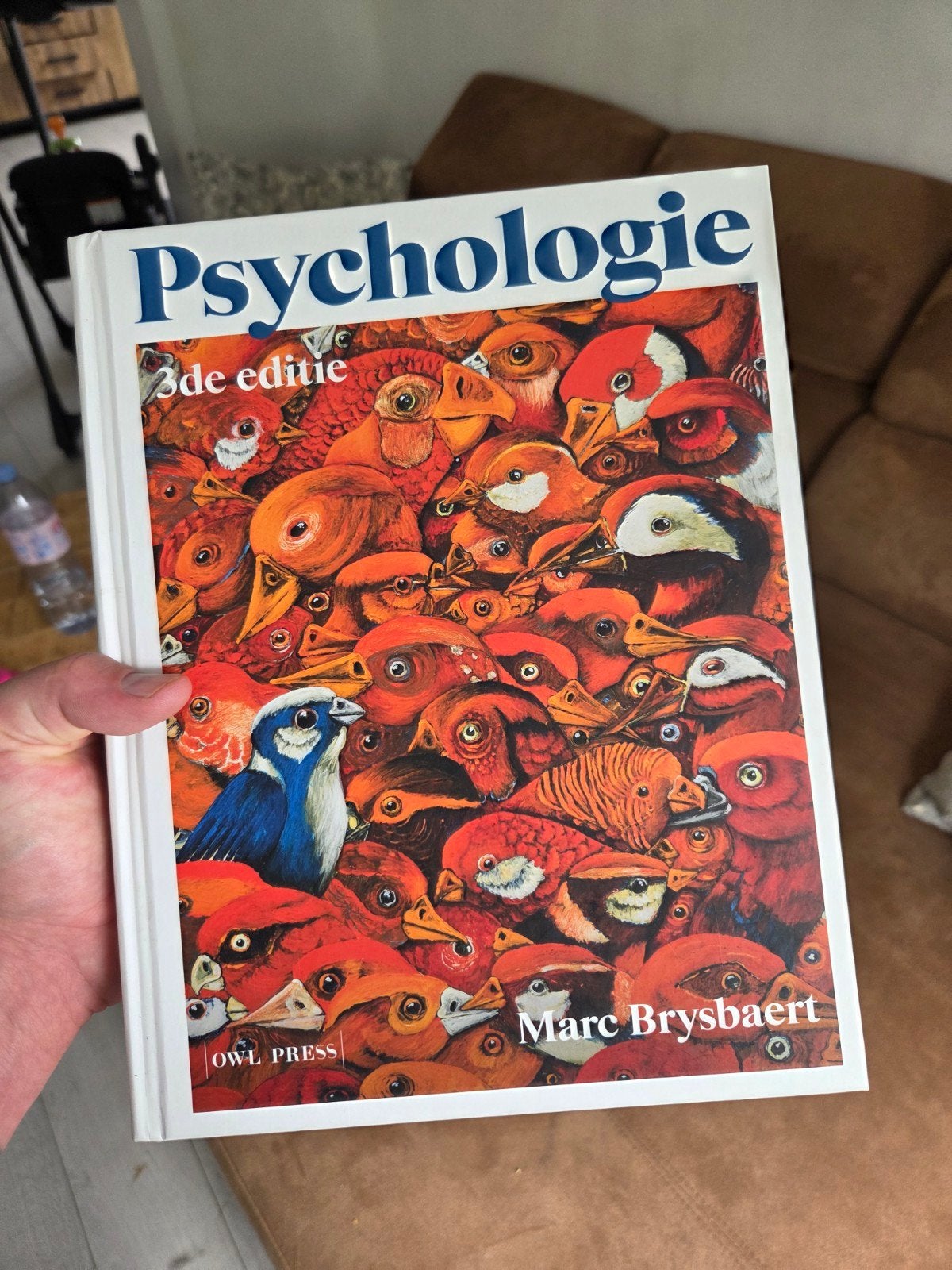 Marc Brysbaert - Psychologie, Ophalen of Verzenden, Marc Brysbaert
