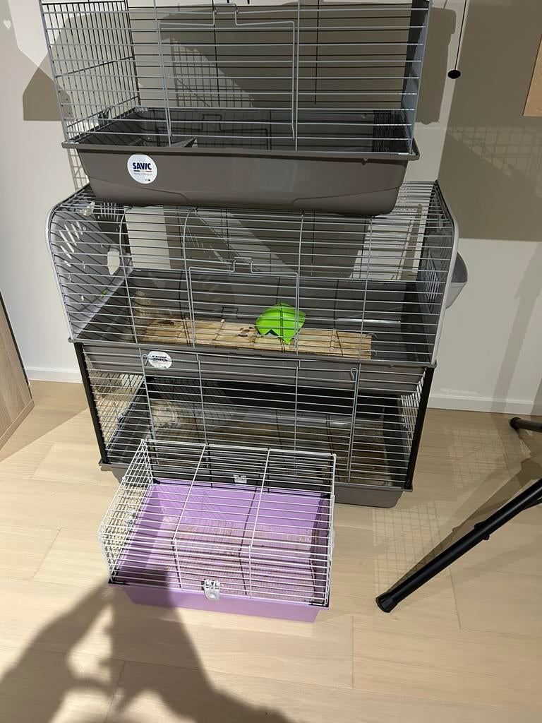 Duplex cavia/konijnenkooi te koop, Enlèvement, Utilisé, Niche, Cobaye