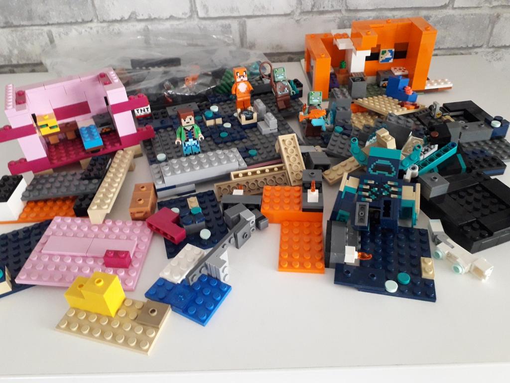 Lego Minecraft, Enlèvement