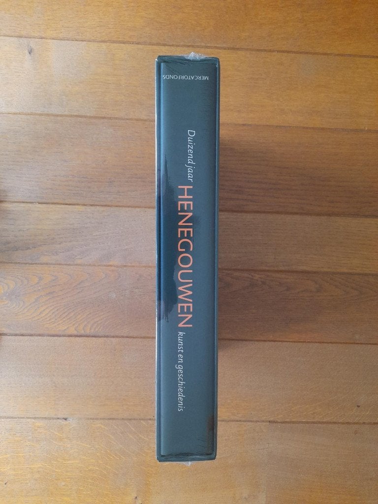 1000 jaar Henegouwen – kunst en geschiedenis, Boeken, Ophalen of Verzenden, Nieuw, Claire Billen
