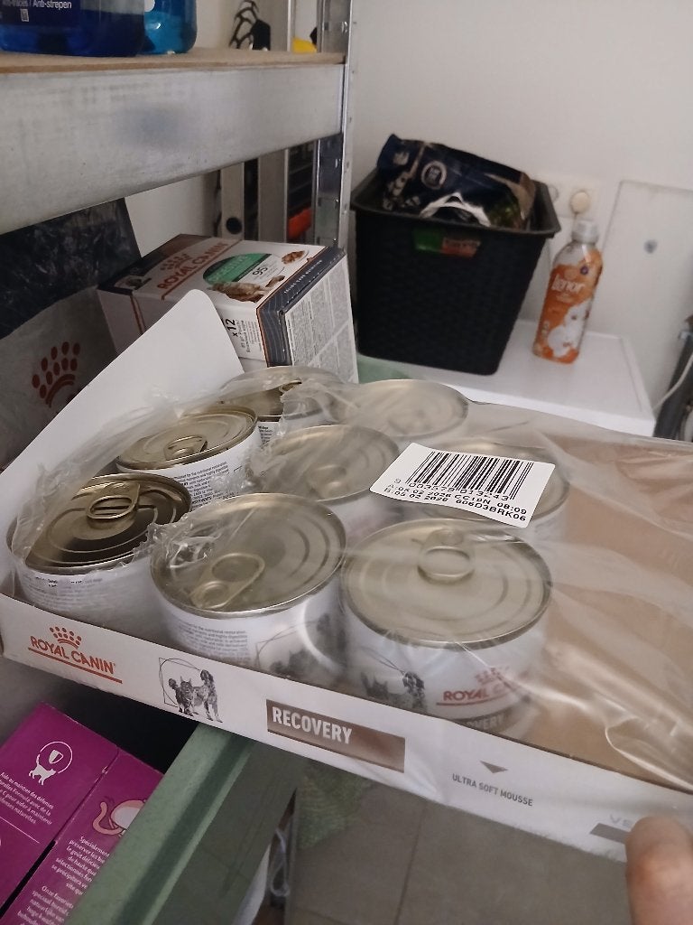 kattenvoer nat royal canin en whiskas, Dieren en Toebehoren, Ophalen, Kat