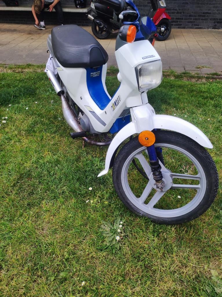Wallaroo 50cc, Fietsen en Brommers, Ophalen