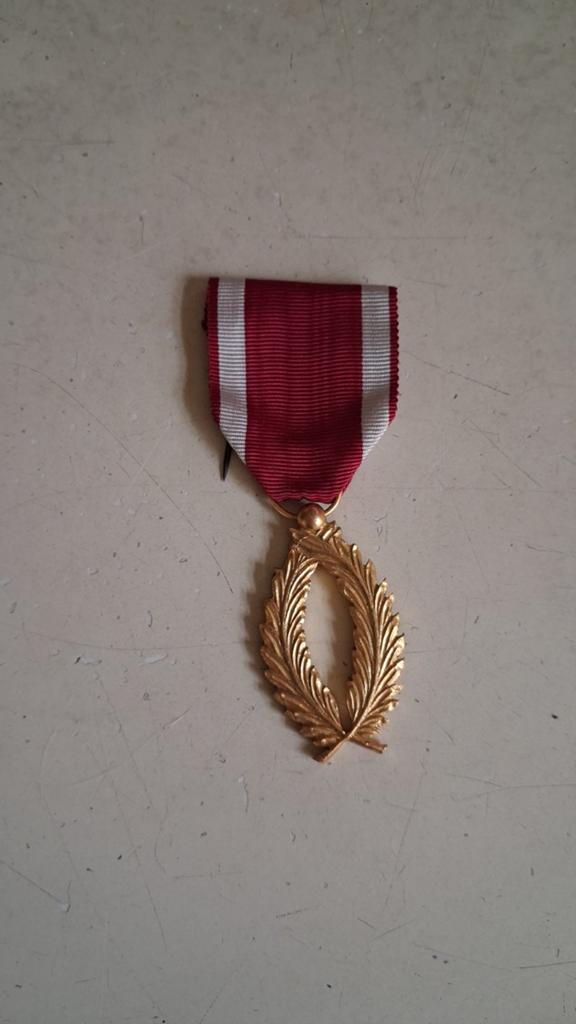 Ereteken orde gouden palmen, Ophalen