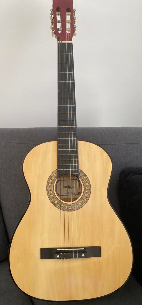 Akoestische gitaar met draagtas., Ophalen