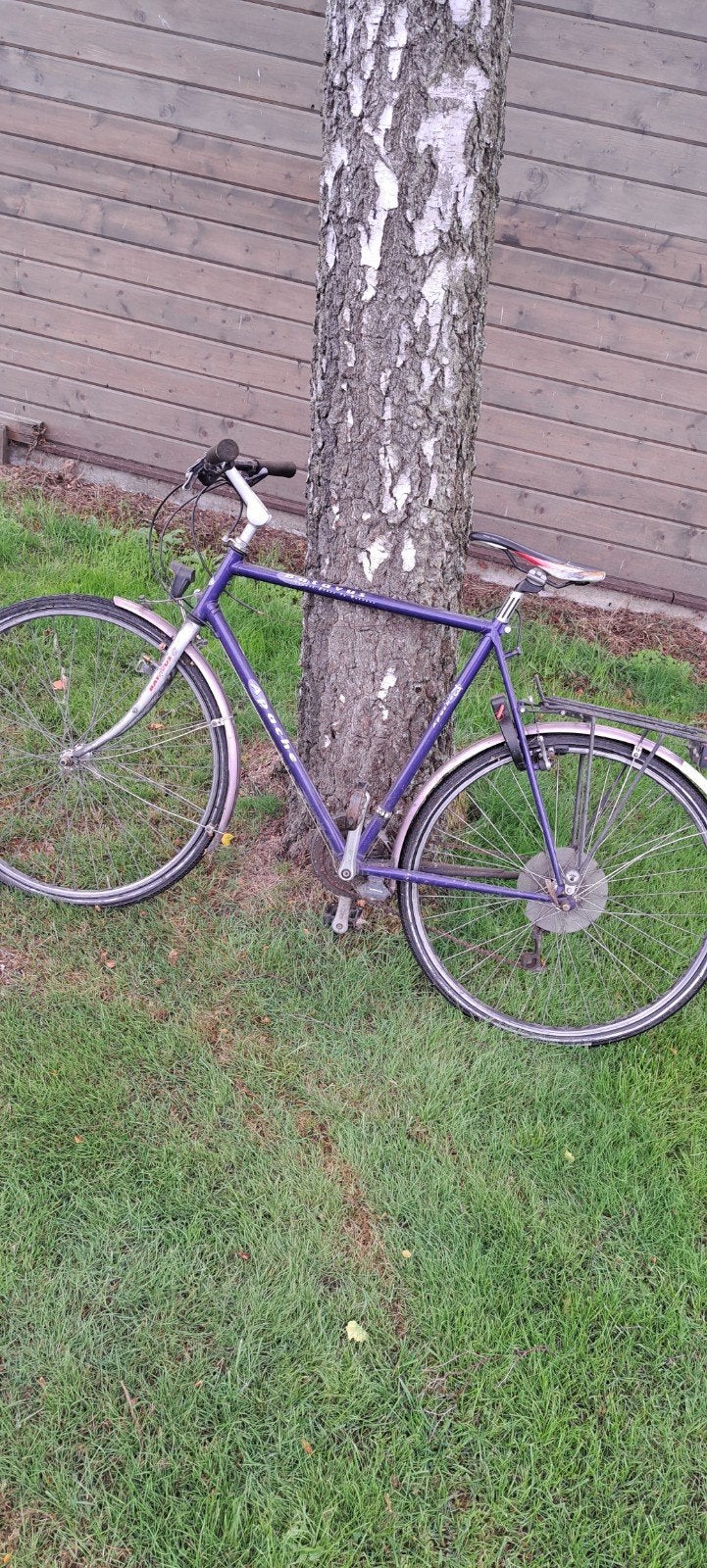 blauwe herenfiets, Ophalen