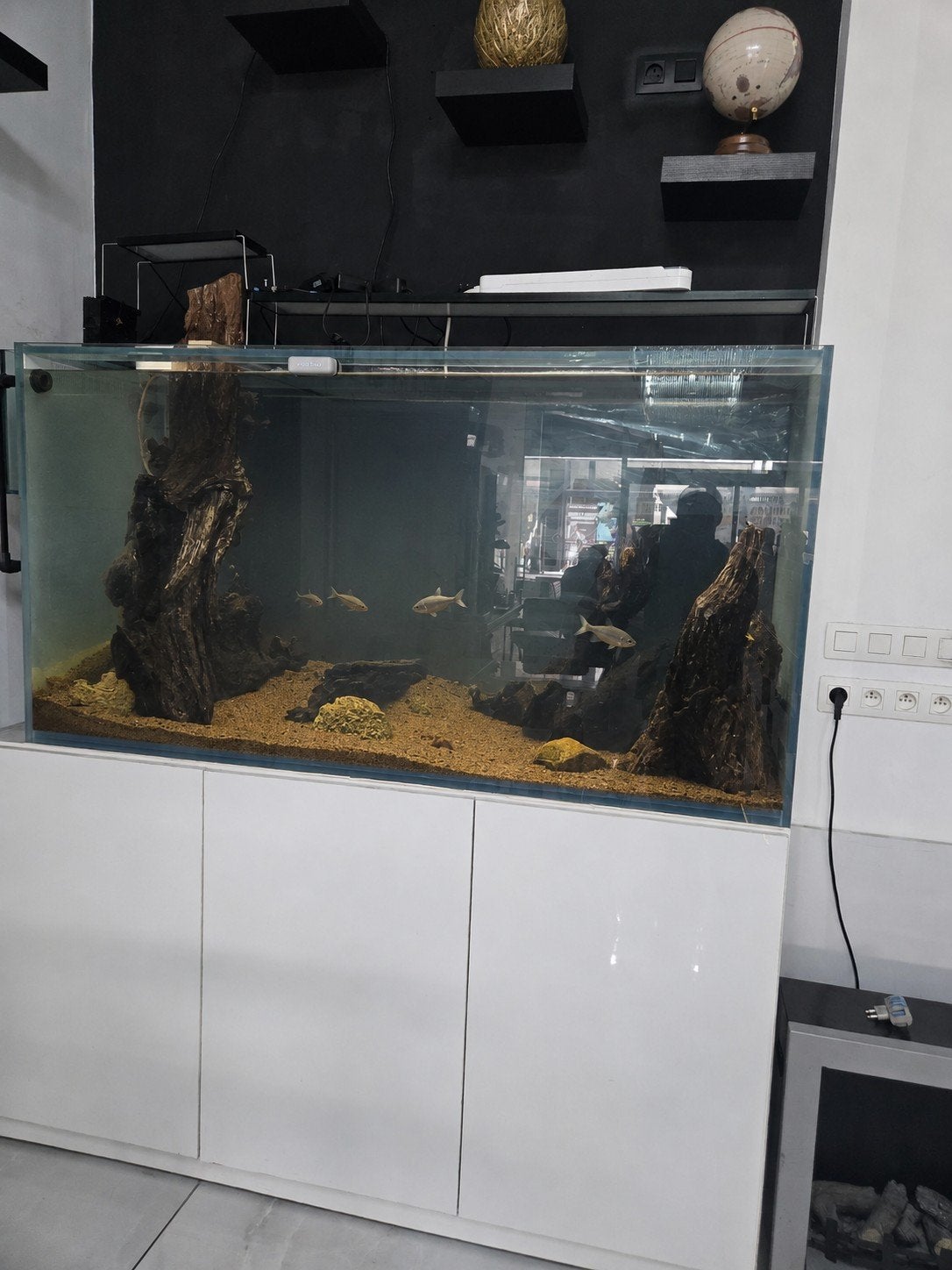 Grand aquarium avec meuble blanc – Très bon état

À vendre,, Enlèvement, Comme neuf