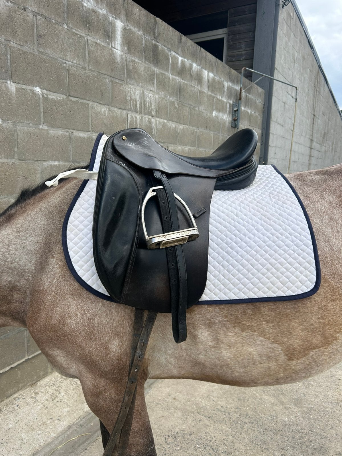 Selle de dressage// dresuurzadel, Enlèvement ou Envoi, L (17.5 pouces), Moyen, Utilisé