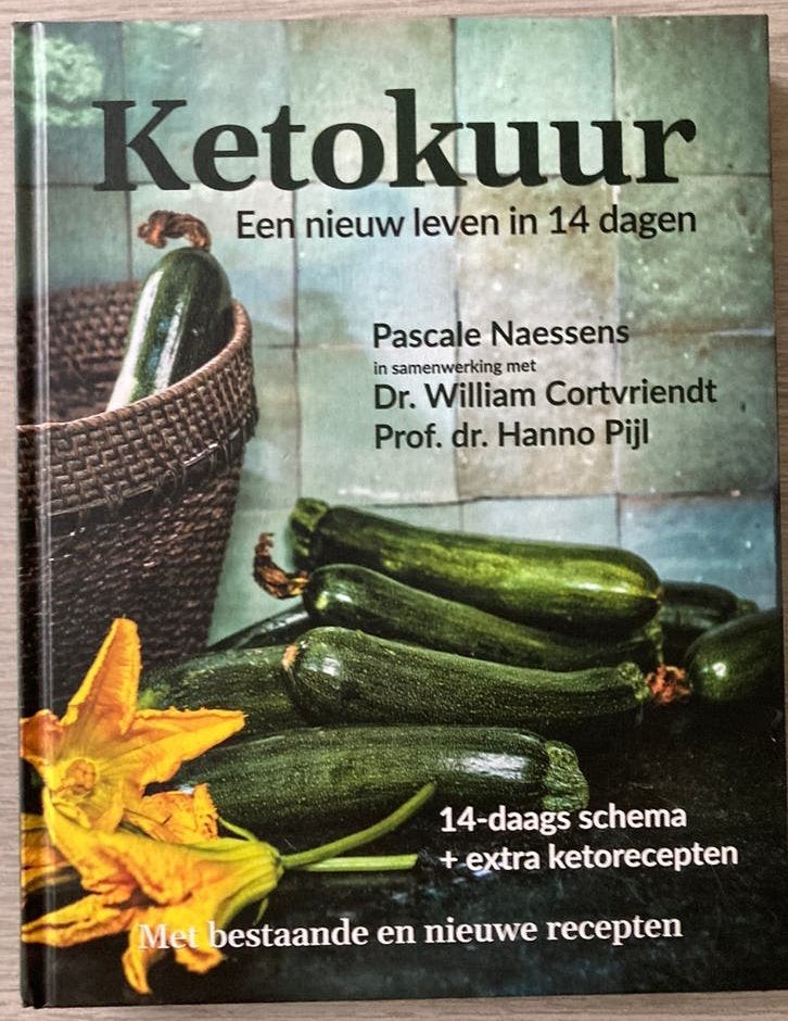 Pascale Naessens - Ketokuur, Livres, Enlèvement ou Envoi, Pascale Naessens