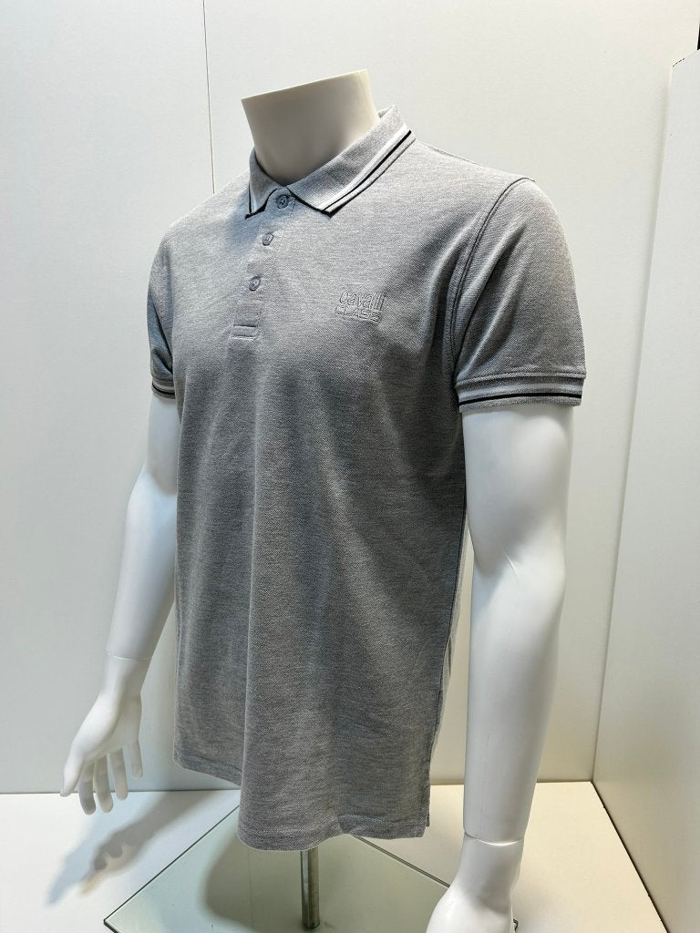 Cavalli Class Polo Shirt Grijs, Vêtements | Hommes, Polos, Neuf, Gris, Enlèvement ou Envoi, Autres tailles