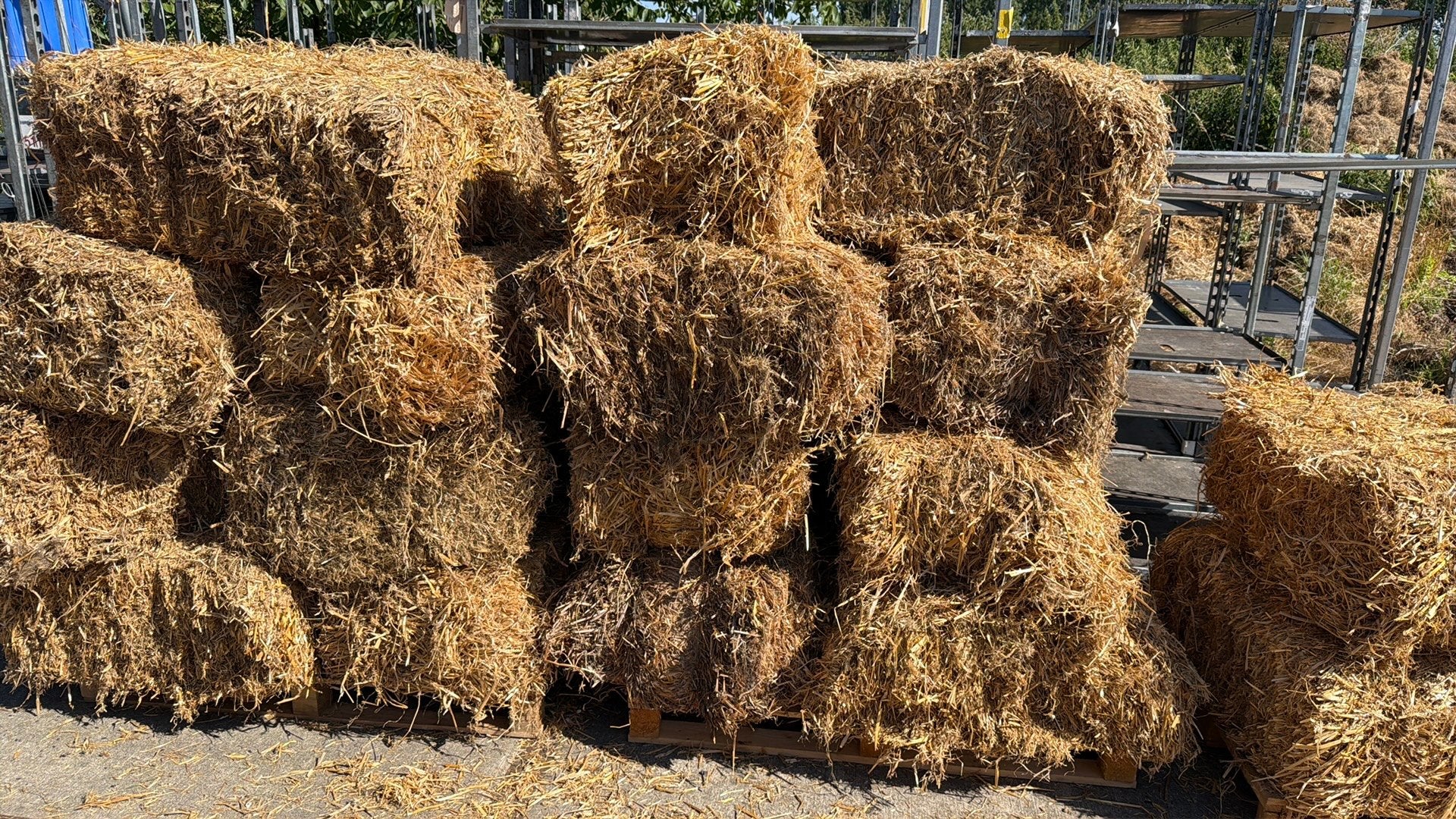 Stro gratis op te halen in Temse, Jardin & Terrasse, Gazon & Gazon artificiel, Enlèvement, Comme neuf