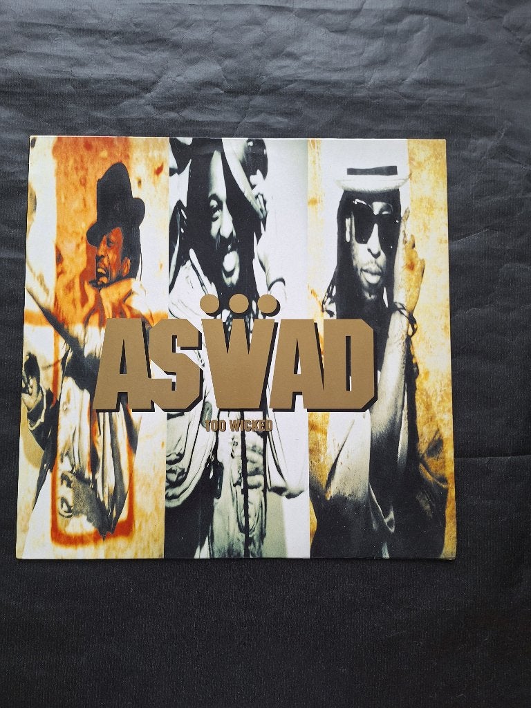 ASWAD "Too Wicked" reggae LP (1990) IZGS, CD & DVD, Vinyles | Rock, Pop rock, Enlèvement ou Envoi, Comme neuf, Avec pochette intérieure