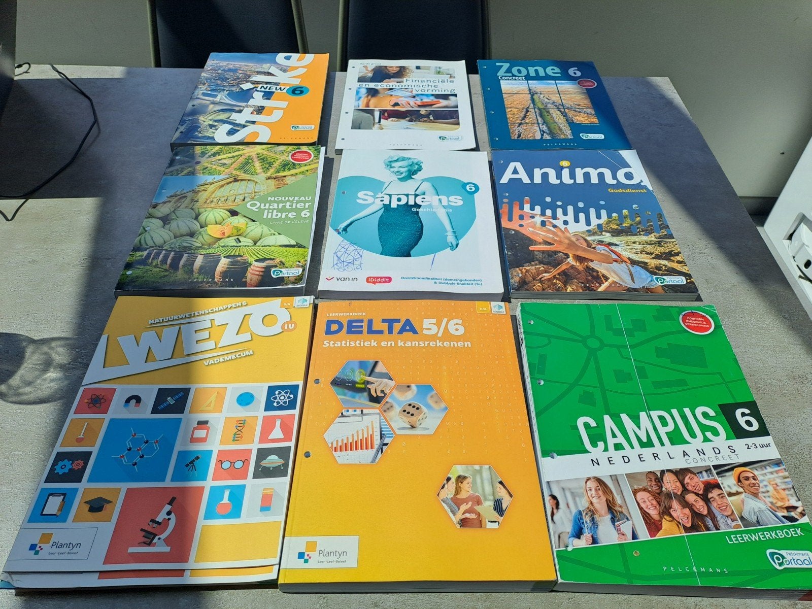 Livres de 6e année. Utilisé uniquement pendant 3 semaines., Livres, Enlèvement
