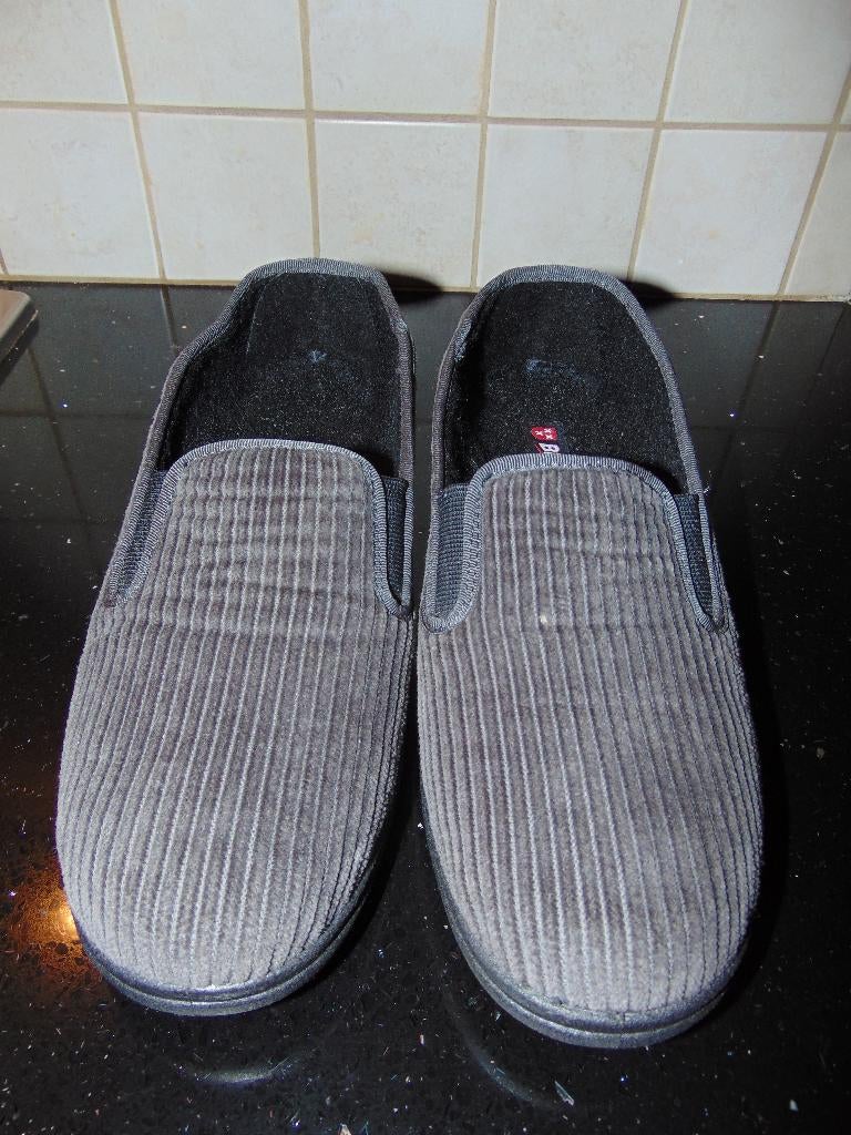 Pantoffels in nette staat, Vêtements | Hommes, Chaussures, Enlèvement ou Envoi, Autres couleurs, Pantoufles, Porté
