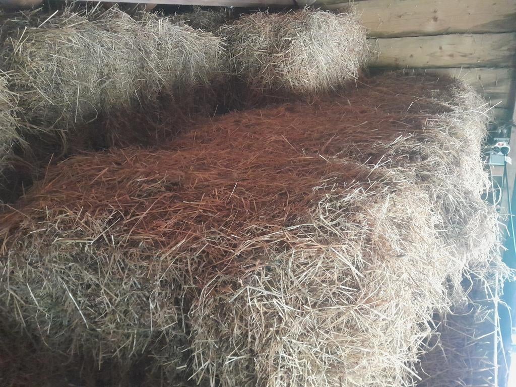 Kleine pakken droog hooi, Dieren en Toebehoren, Ophalen, Vee
