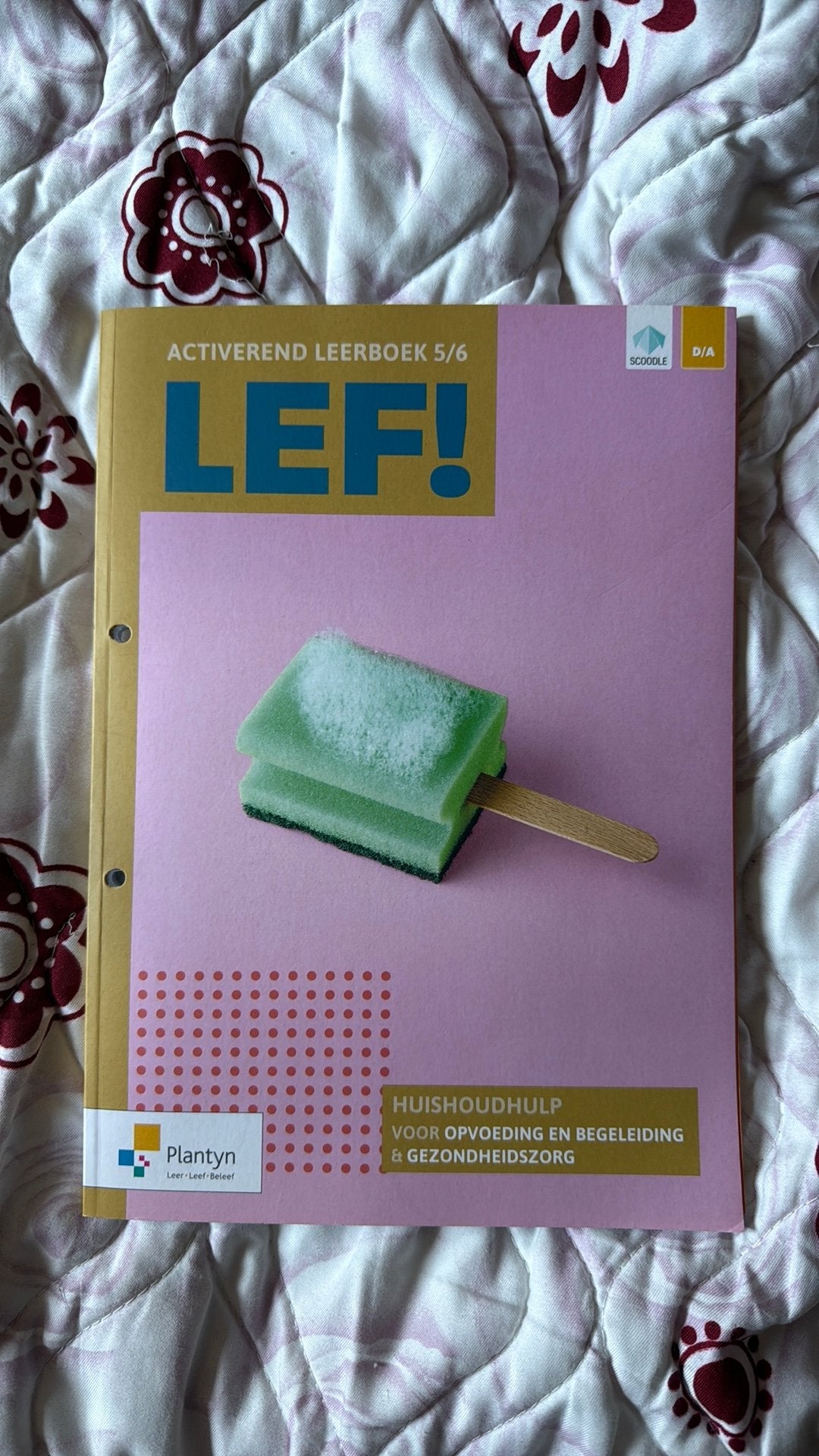 Schoolboeken voor 5de en 6de middelbaar opvoeding en zorg, Hobby & Loisirs créatifs, Scrapbooking, Enlèvement, Neuf
