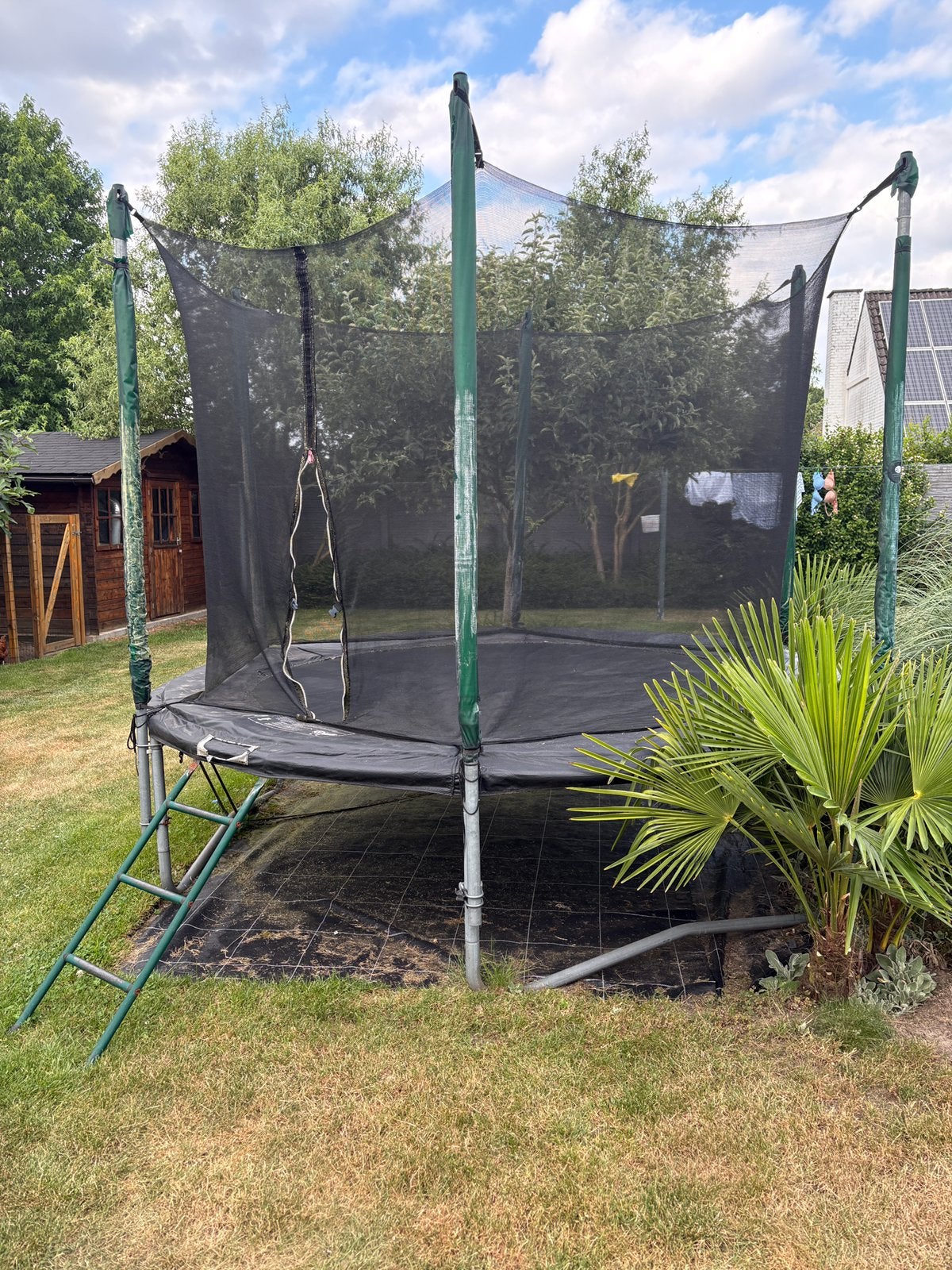 Trampoline Teavyna 305 cm, Enlèvement, Utilisé