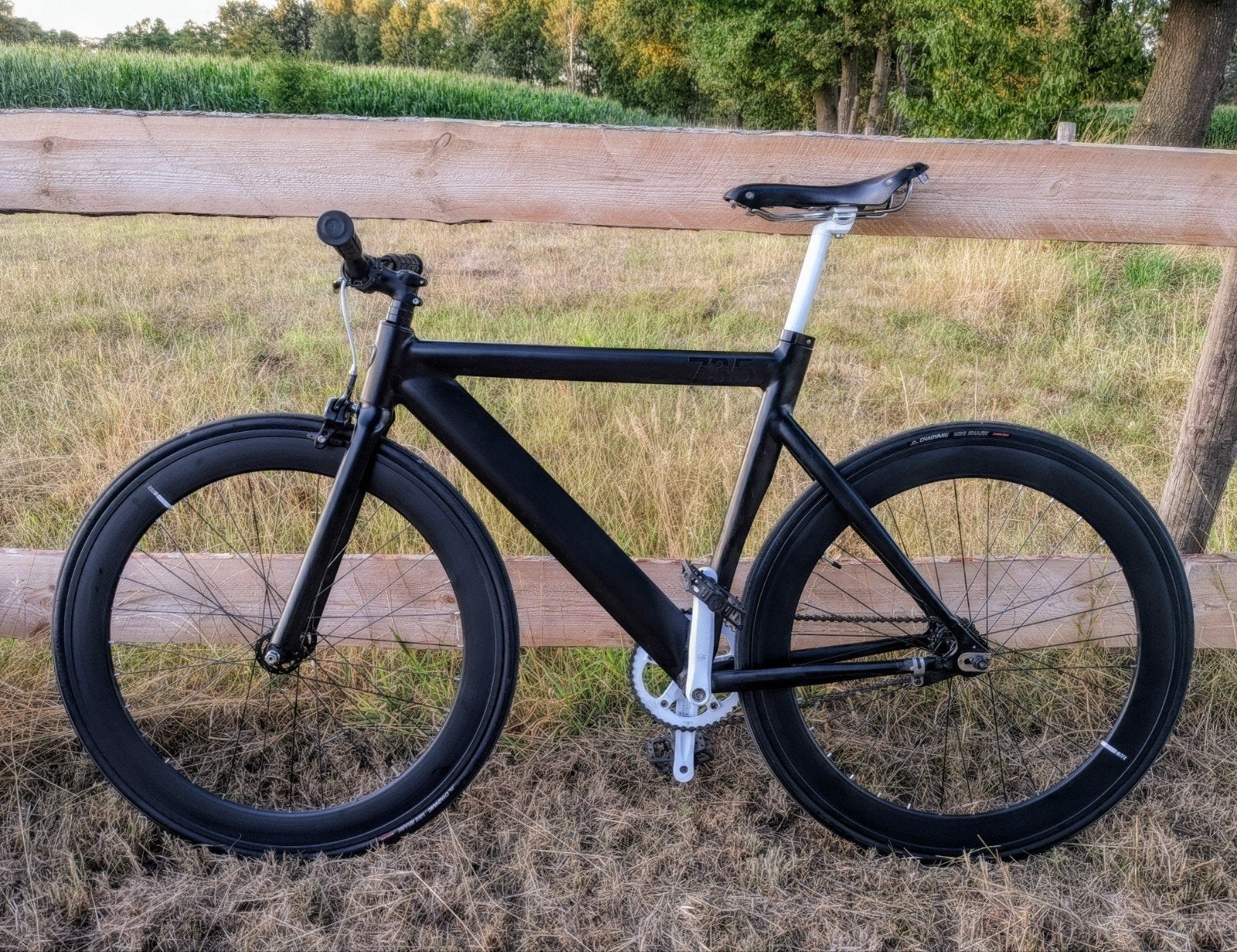 Leader 2-speedfiets met terugtraprem, Ophalen, Terugtraprem